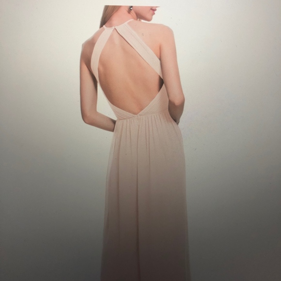 Open Back Rose Chiffon Wedding Gown - Picture 5 of 5